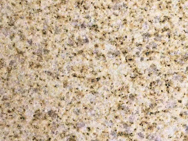 黄金麻大黄荔枝面